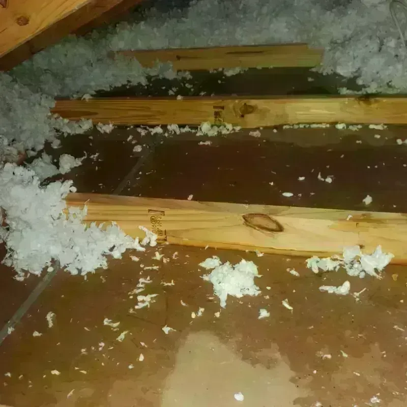 Attic Water Damage in Chesterfield County, VA